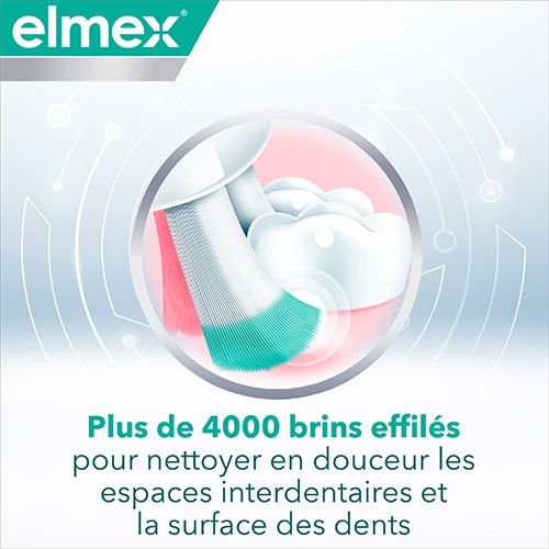 Plus de 4000 brins