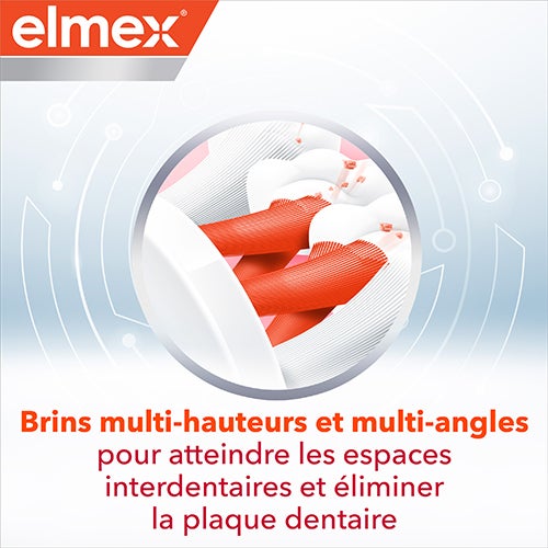 Brins multi-hauteurs